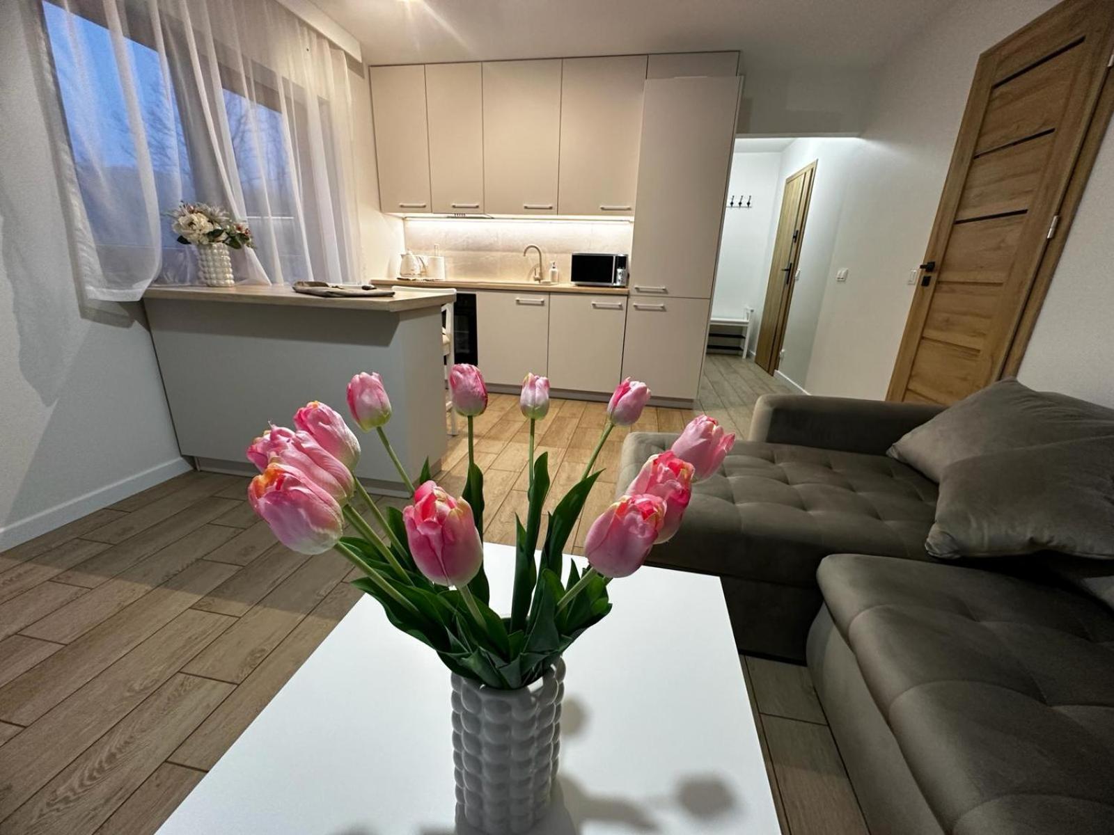Apartamenty Biala Gran Zakopane Luaran gambar
