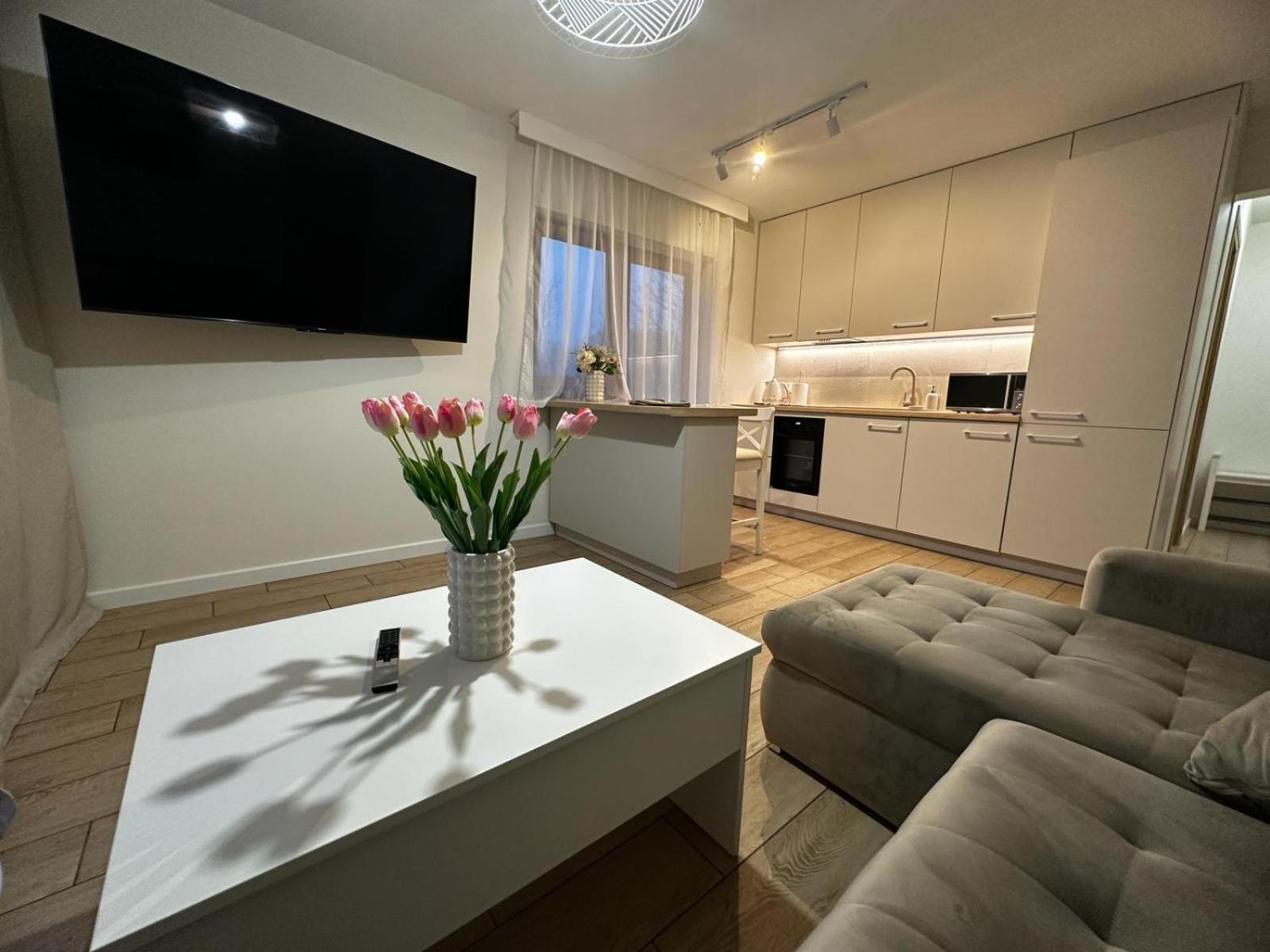 Apartamenty Biala Gran Zakopane Luaran gambar